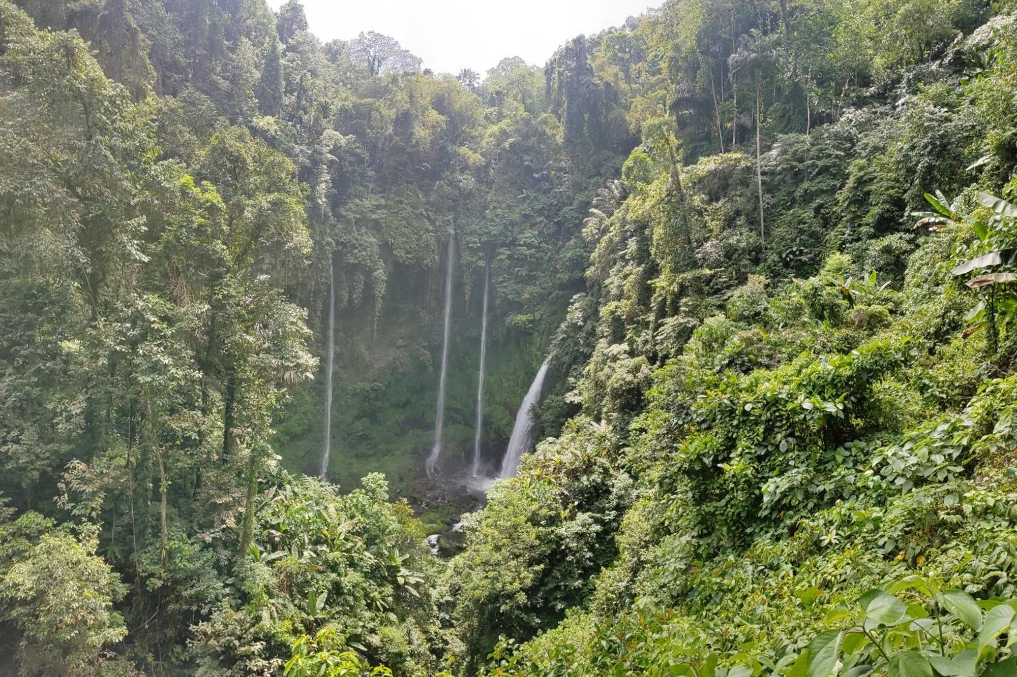 Ilasan Cottage. Tomohon Екстериор снимка